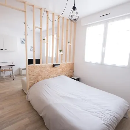 Le Blason Studio Spacieux Avec Parking Prive &wifi Lägenhet *