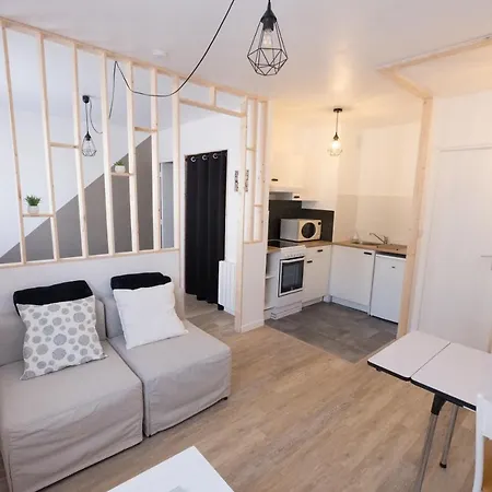 Le Blason Studio Spacieux Avec Parking Prive &wifi *